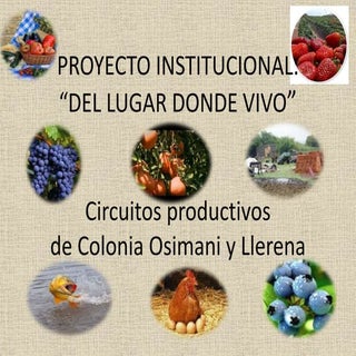 Proyecto Institucional