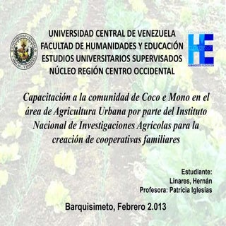 Proyecto intervención coco e mono