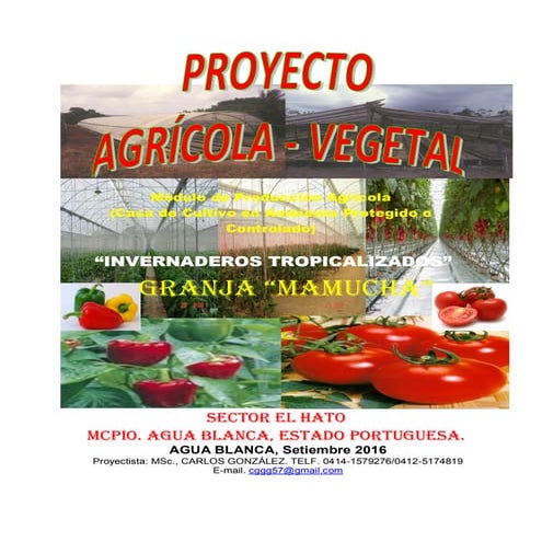 Proyecto invernadero granja mamucha (mcpio agua blanca) sep 2016 completo
