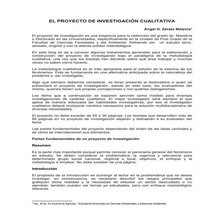 Proyecto investig cualitativa
