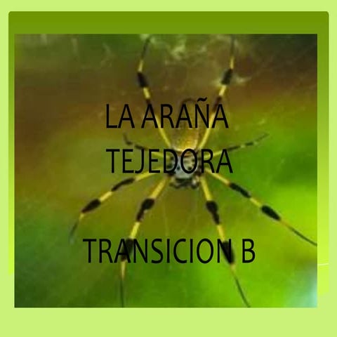 Proyecto la araña