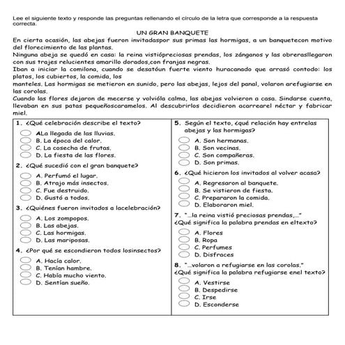 Proyecto lector 3e r grado