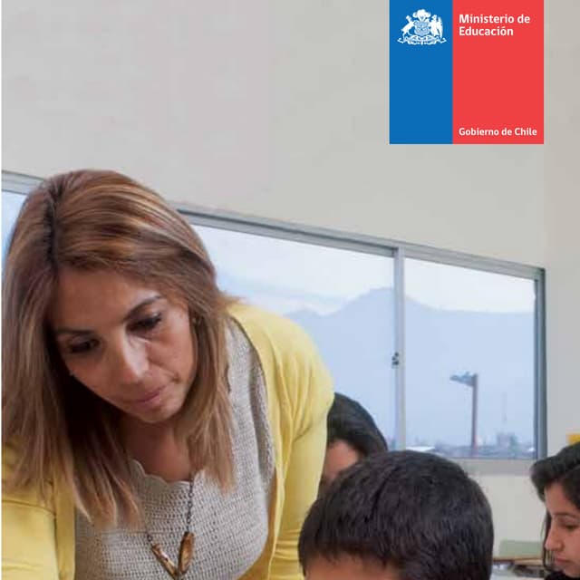 Proyecto ley profesorado