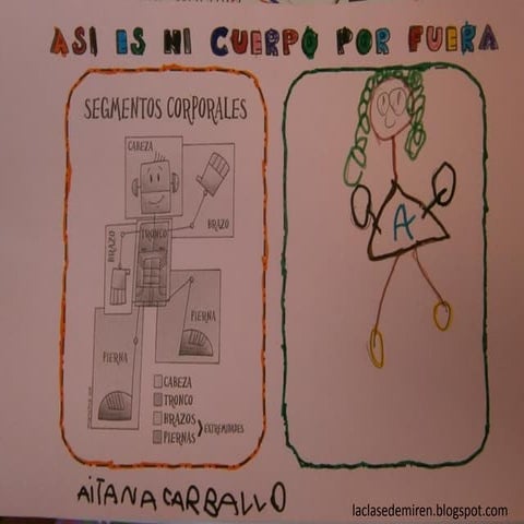 Proyecto mi cuerpo por fuera