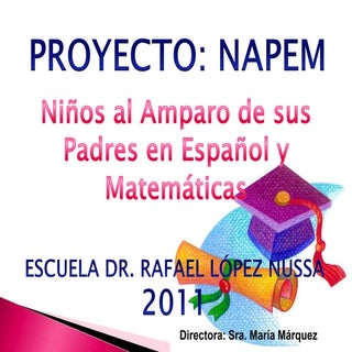 Proyecto napem 2