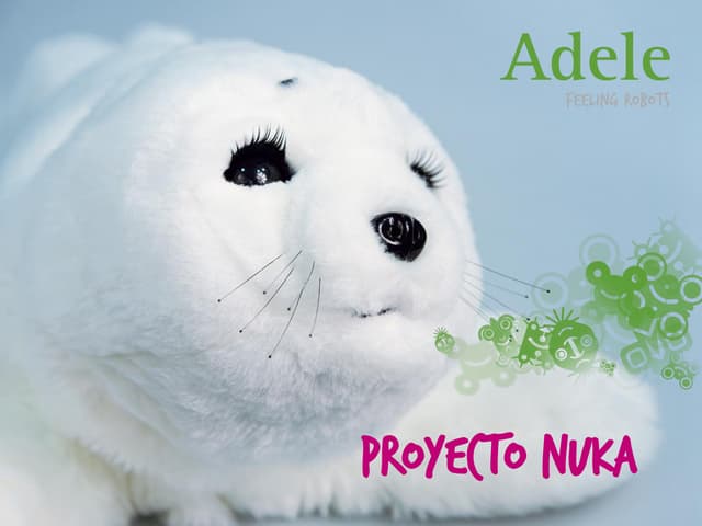Proyecto Nuka