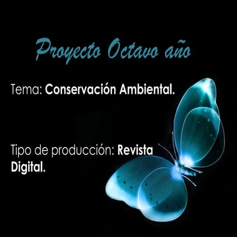 Proyecto octavo año