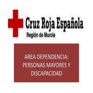 Proyecto para Cruz Roja área de de ...