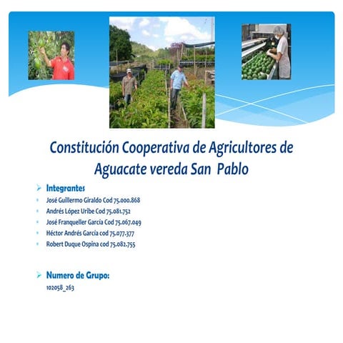 Proyecto Final grupo 263