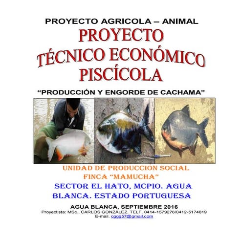 Proyecto piscícola granja mamucha (mcpio agua blanca) sep 2016 completo