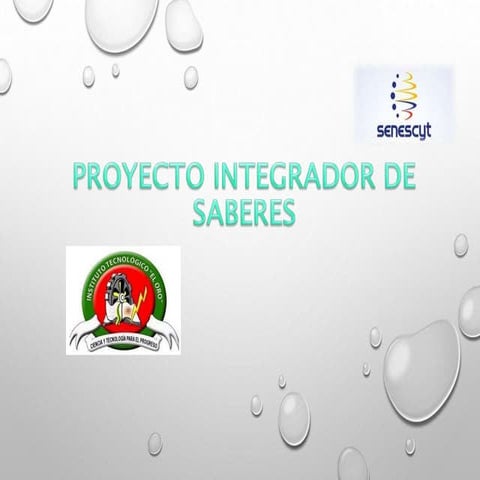 Proyecto Integrador de Saberes "Tecnologia Electrica" Parque