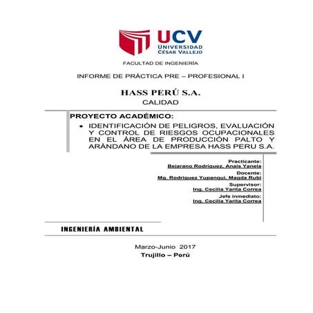 Proyecto práctica preprofesional i