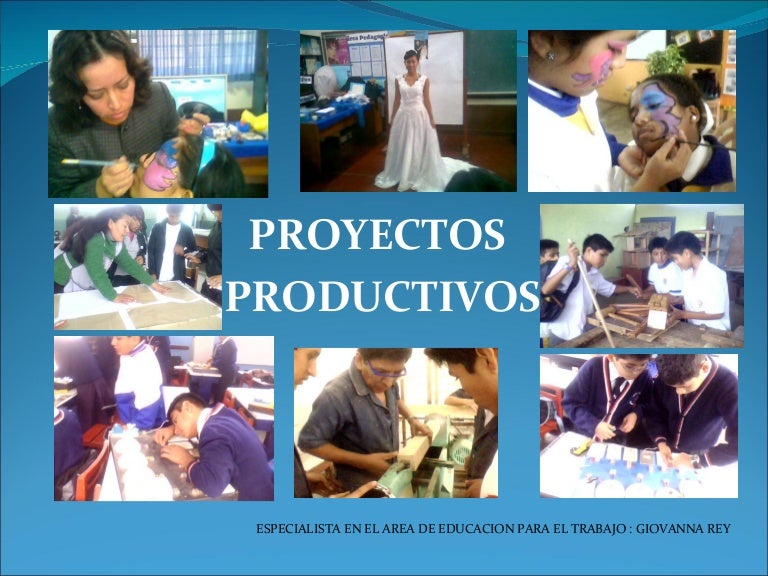 Proyecto productivo resumen