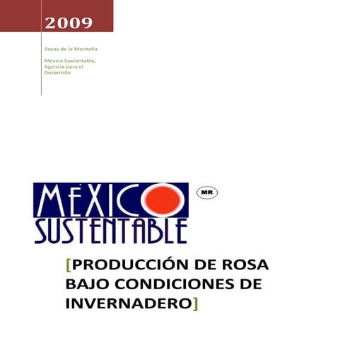 Proyecto rosas de la montaña