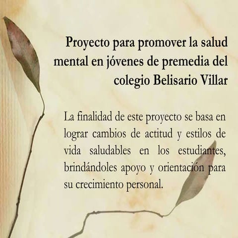 Proyecto Higiene Mental