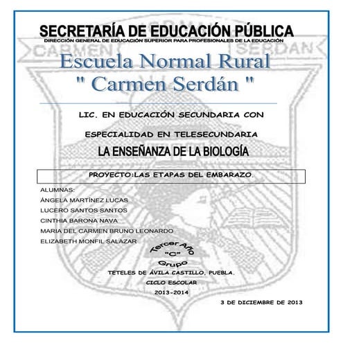 las etapas del embarazo