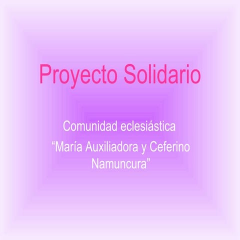 Proyecto Solidario
