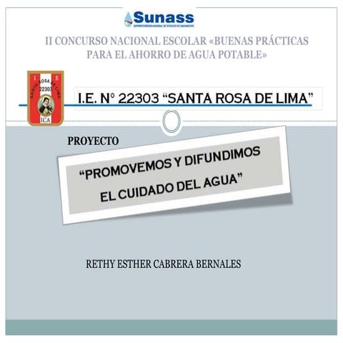 Proyectos sunass diapositivas | PPTX