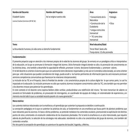 Proyecto Elizabeth Suárez