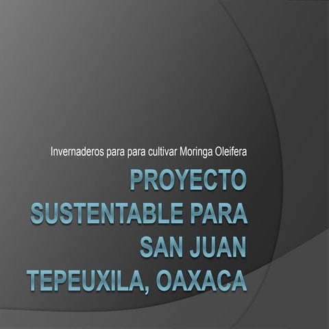 Proyecto sustentable para san juan tepeuxila, oaxaca