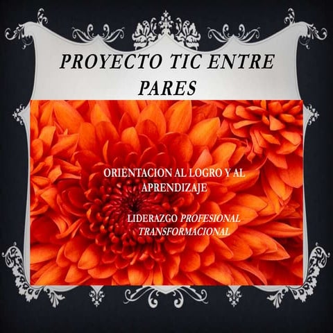 Proyecto tic entre pares