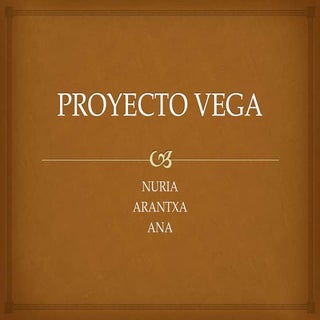 Proyecto vega