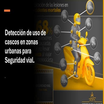 Proyecto Vision por Computador - presentación tipica