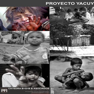 Proyecto yacuy  salta.