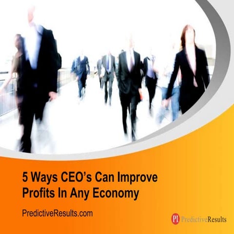 5 Ways CEO's Can Improve Profits