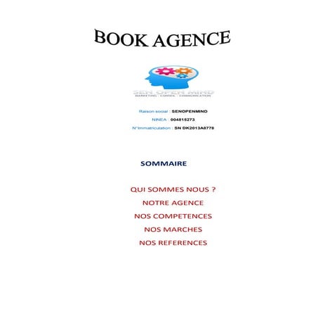 Présenation agence senopenmind