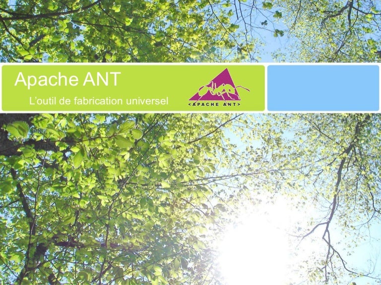 free course on apache ant