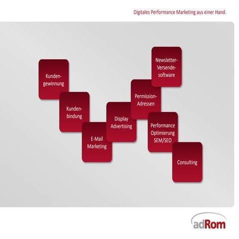 adRom Holding AG Norbert Rom präsentiert dynamische Leadgenerierung 10.2010