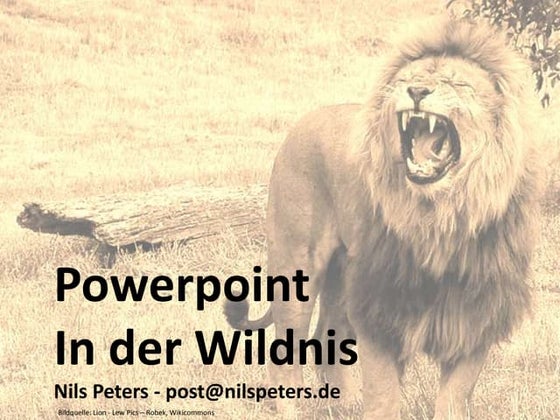 PowerPoint in der Wildnis