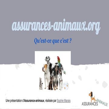 Présentation assurances animaux.org