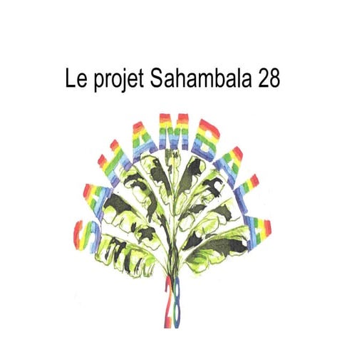Présentation école Sahambala 28