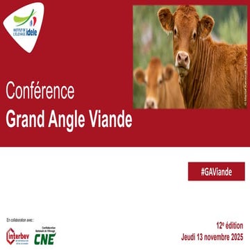 [GAV 2025] - Impactomètres viande de boeuf