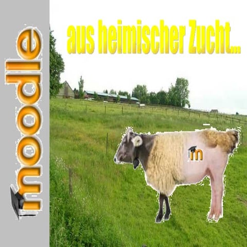 Präsentation Moodle Workshop Bamberg (Pp Tminimizer)