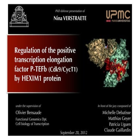 Regulation of the Positive Transcription Elongation Factor P-TEFb (CDK9/CycT1...