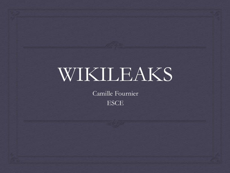 Wikileaks presentation 07 picture