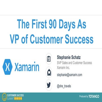 90-DAY PLAN FOR THE FIRST VP OF CUSTOMER SUCCESS