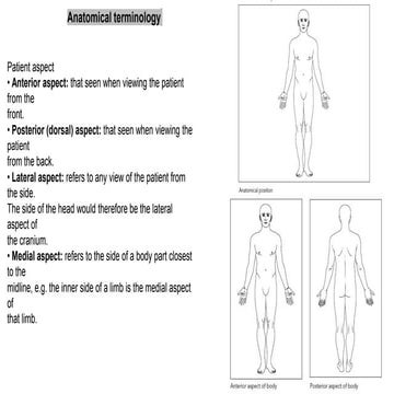 prt-position-section-1-dr-aya-ali-pptx
