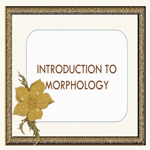 morphology