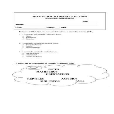 Prueba-Ciencia-Vertebrados-e-Invertebrados-2-Basico.doc