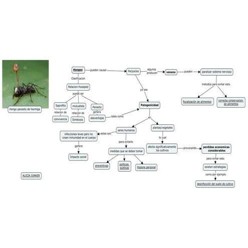 Prueba alicia juncker