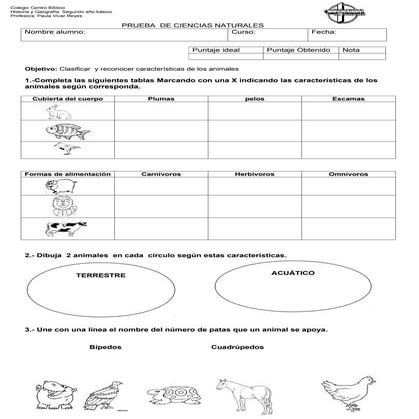 Prueba  de ciencias naturales clasificacion de animales