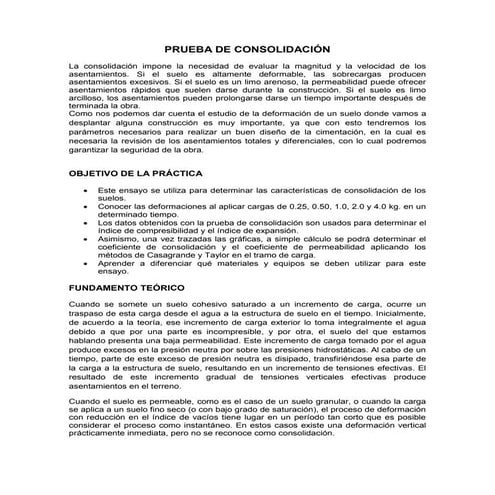 Prueba de consolidación 