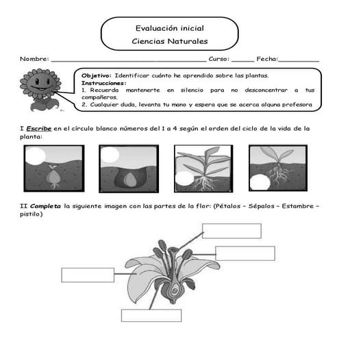 Prueba de diagnóstico ciencias naturales 3° básico