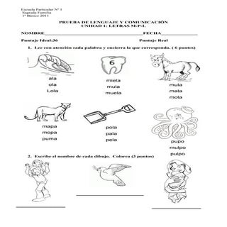 Prueba de lenguaje m p-l