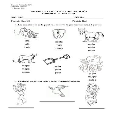 Prueba de lenguaje m p-l