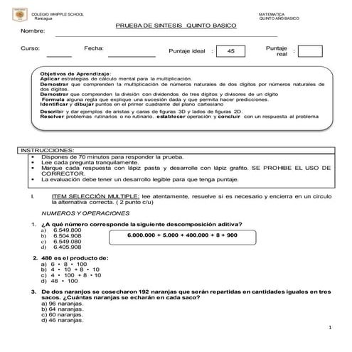 Prueba de sintesis  quinto basico